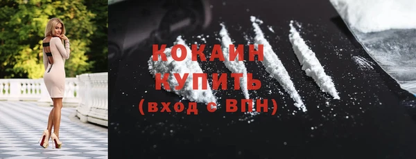 индика Наволоки
