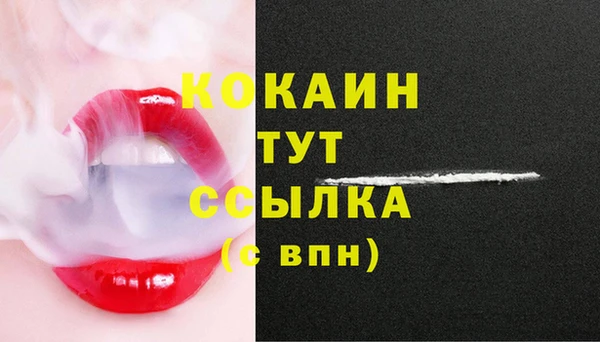 стаф Надым