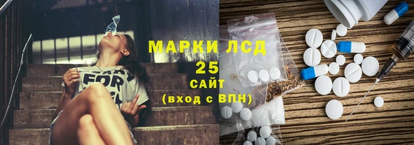 индика Наволоки