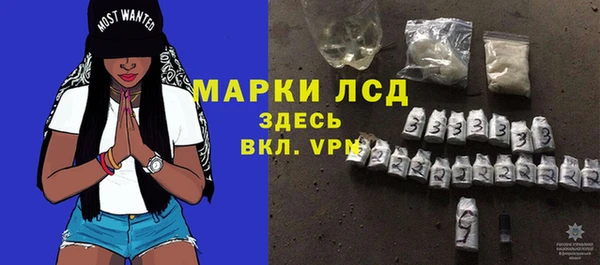 индика Наволоки