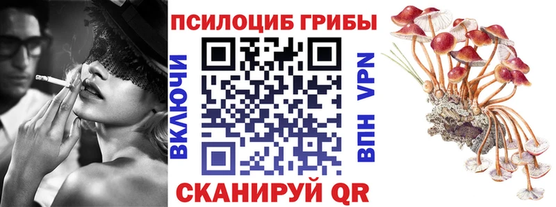 Купить где  Саки  Галлюциногенные грибы мухоморы 