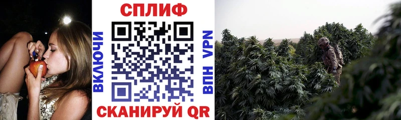 Бошки Шишки THC 21% Саки